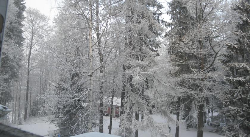 Neitsytniemen Kartano Bed & Breakfast Иматра Стая снимка